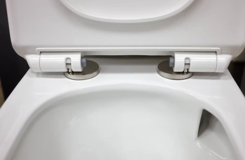 Унитаз напольный Caprigo Vittoria V-1013