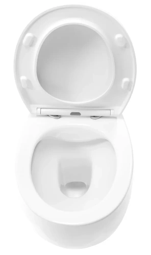 Унитаз подвесной Rea Lars C9500