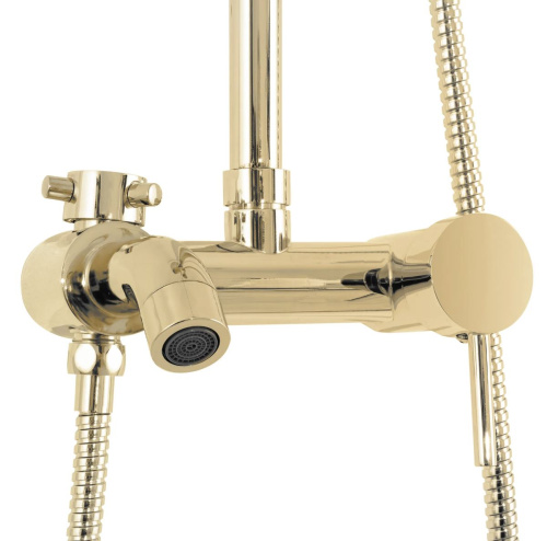 Душевая система Rea Luis Gold P7006
