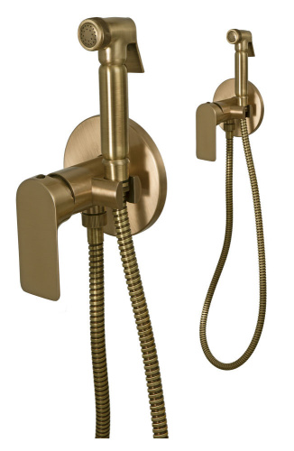 Гигиенический душ Remer Infinity I65VO, бронза