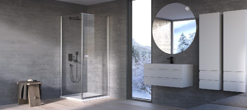 Душевая дверь Kolpa-San Andromeda D 100 silver brill transparent 516530