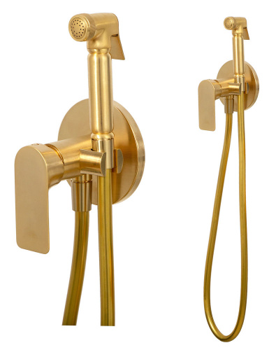 Гигиенический душ Remer Infinity I65BG, золото брашированное