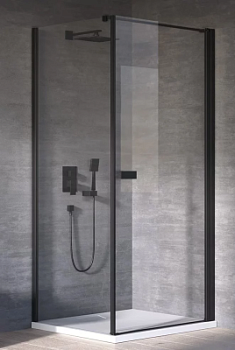 Душевая дверь Kolpa-San Andromeda D 100 black transparent 516620