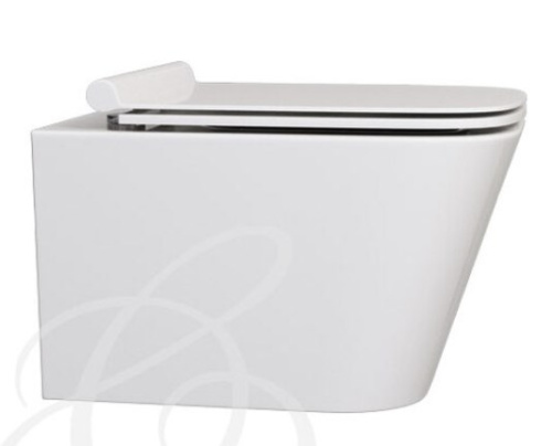 Сиденье для унитаза Caprigo STYLE STL-1203