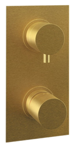 Смеситель для душа Remer Edge EG593BG, золото брашированное