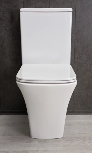 Унитаз напольный Gid Tn2184