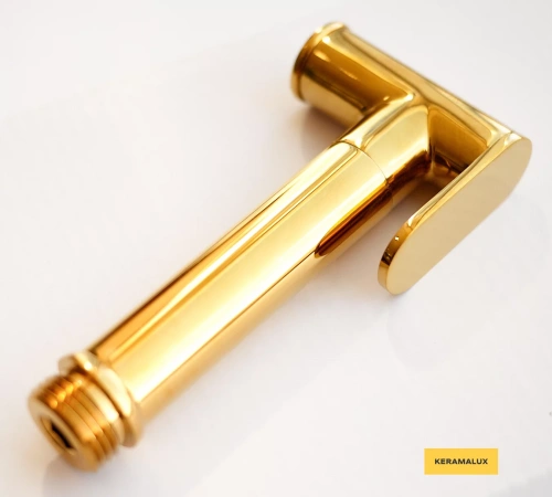 Лейка CeramaLux KRL/003 золотой глянец