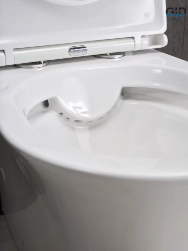 Унитаз напольный Gid Tn2126