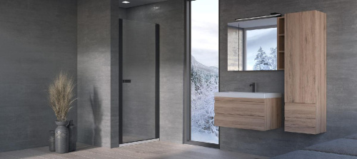 Душевая дверь Kolpa-San Andromeda N 90 black transparent 516760