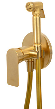 Гигиенический душ Remer Infinity I65BG, золото брашированное