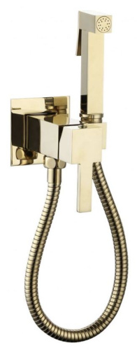 Гигиенический душ CeramaLux KBS/002 золото светлое