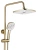 Душевая система Rea Argus gold matt P7841