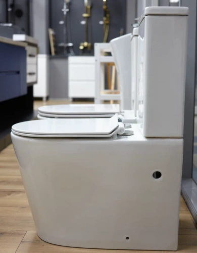 Унитаз напольный Caprigo Vittoria V-1013